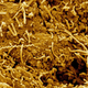 Image for article titled Ancient Microbes Found Alive Deep Beneath the Ocean Floor